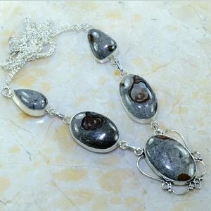 New Turritella Agate 925 Silver Necklace.